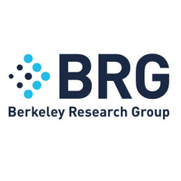 BER Berkeley Research Group
